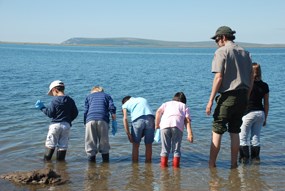 Ranger Mason, a student at CA Davis, takes Junior Rangers out to look at the water quality in Safety Sound.