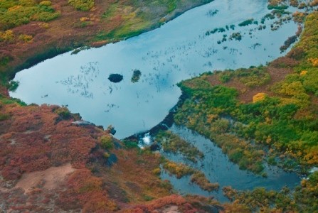 A beaver lodge in the middle of a pond created by a large beaver dam.