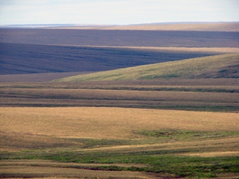 Layers of green and brown criss-cross on hills across the tundra in summertime Layers of green and brown criss-cross on hills across the tundra in summertime