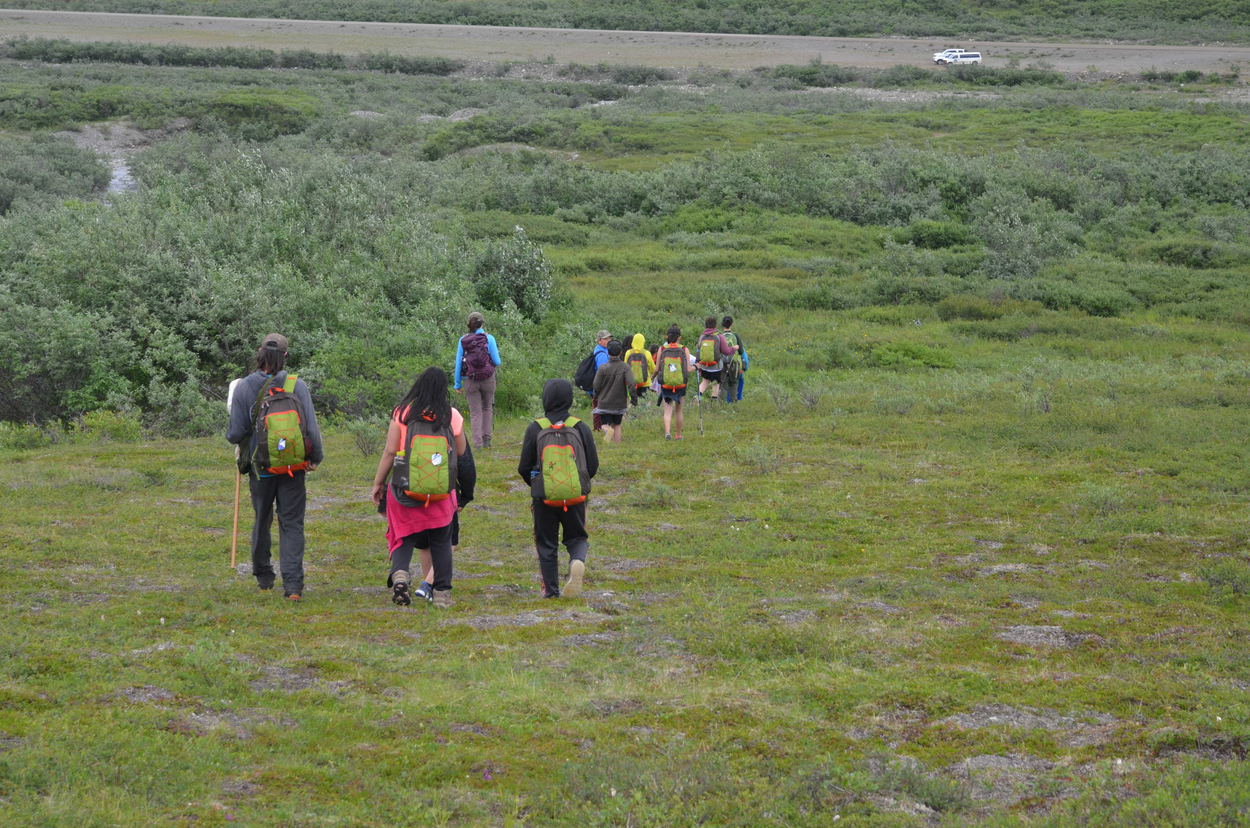 A group of kids traverse through a grassy meadow.