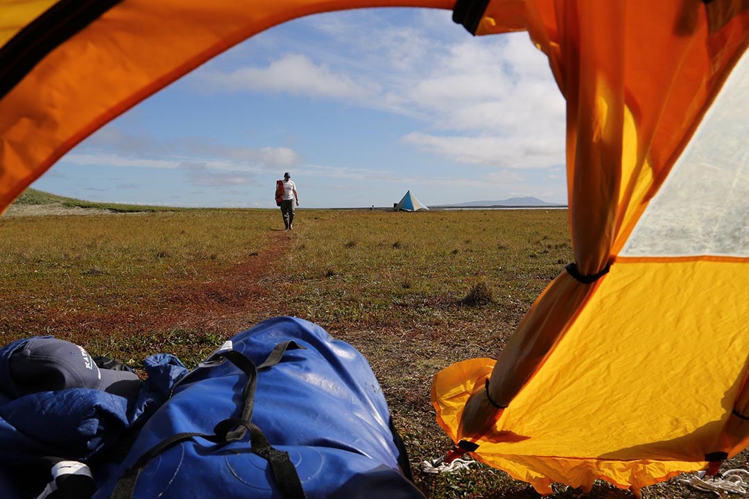 An open tent door frames a grassy flatland as a single person walks towards us.