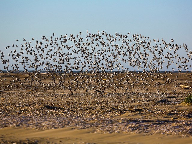 Chukchi Sea Coast