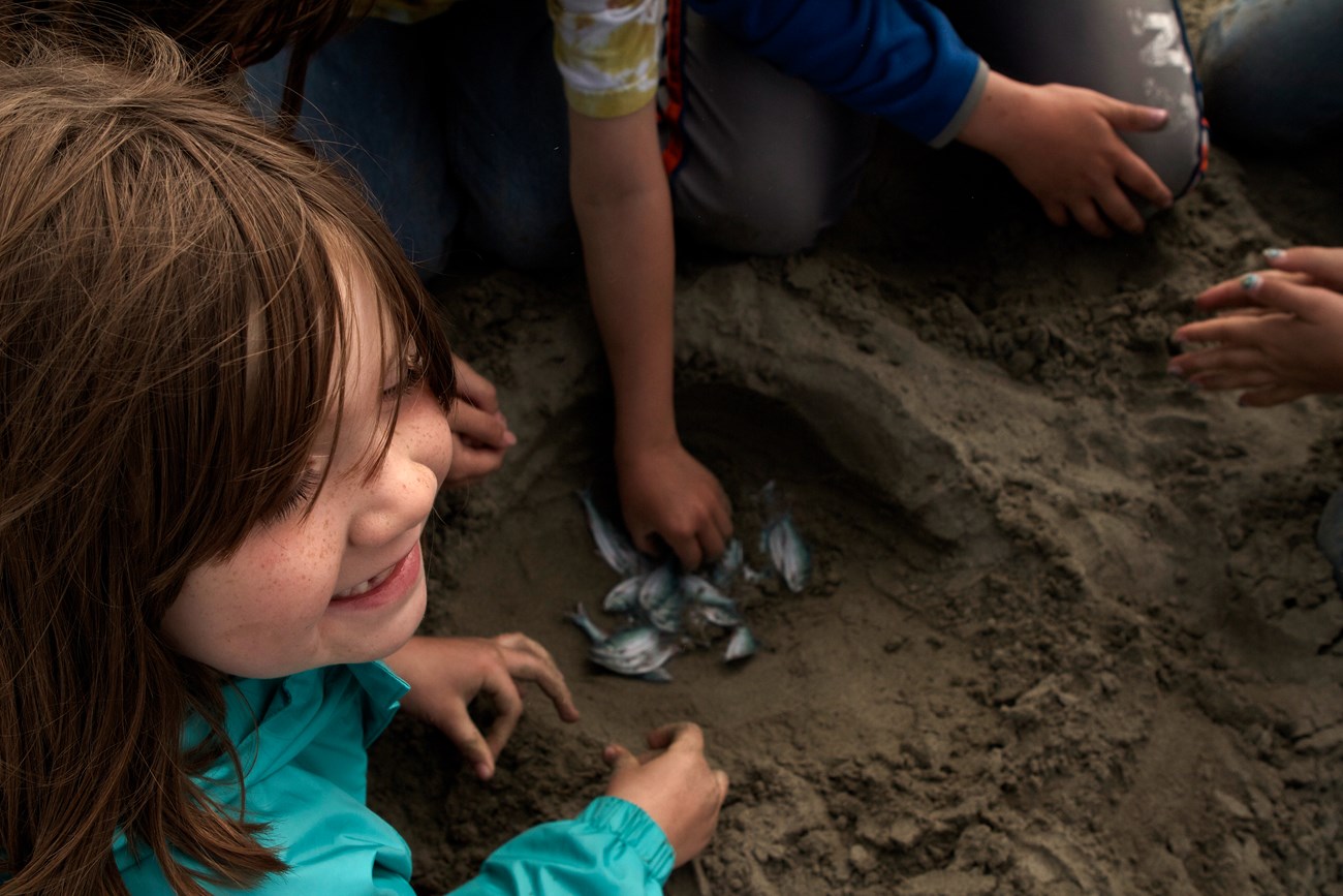 From above, a girl smiles as she sits around a hole dug in the sand.