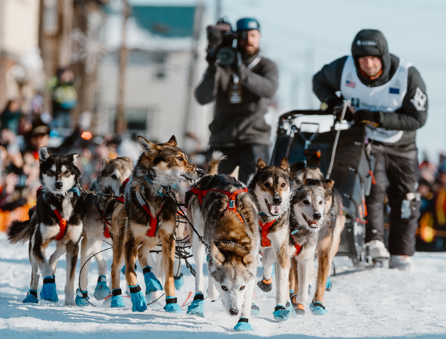 2024 Iditarod Winner Dallas Seavey coming into Nome.