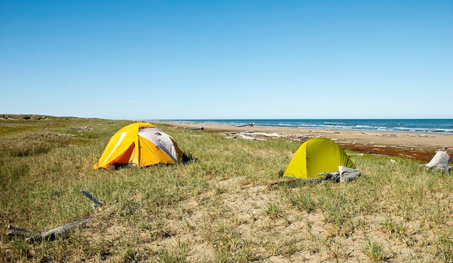 Two tents along a sunny beach.