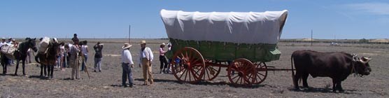 Bent's Old Fort's Santa Fe Trail wagon on the original Santa Fe Trail