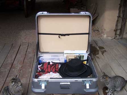trunk2a trunk2a