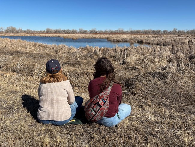 Two seated adults look out over marshland amid tall grasses