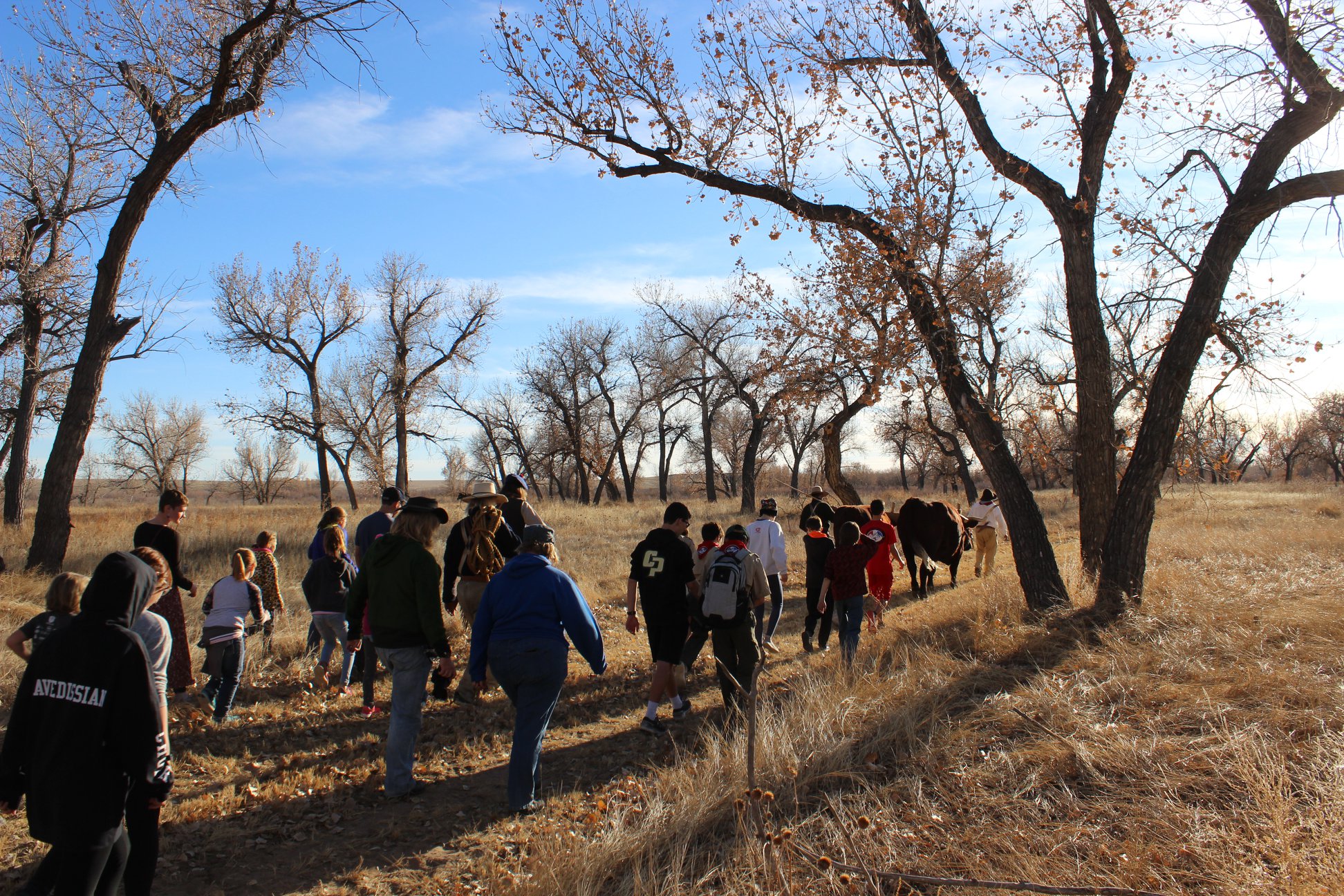 Visitors and living historians search the Arkansas River bottom for a Yule Log. NPS Photo