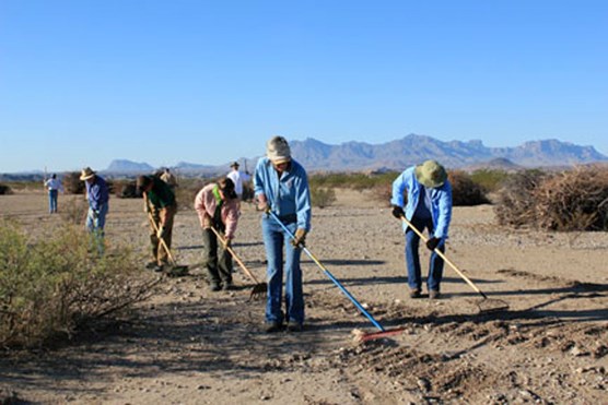 volunteers