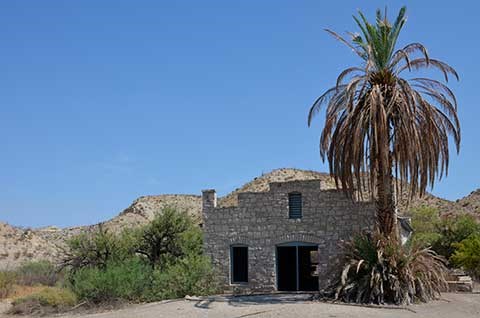 The shell of a historic stone building is shaded by a palm tree in the desert sun.