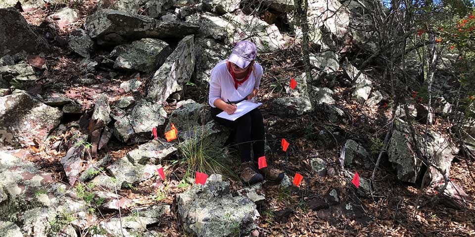 A scientist sits among boulders recording the characteristics of a clump of grass.