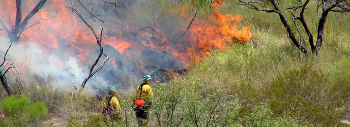Fire Suppression