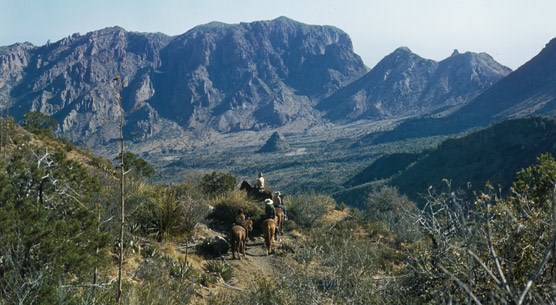 Horseriders descending into the Chisos Basin, 1945