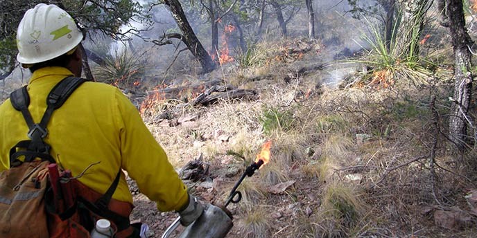 Managing Wildfire Managing Wildfire