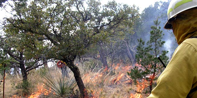 Managing Wildfire Managing Wildfire
