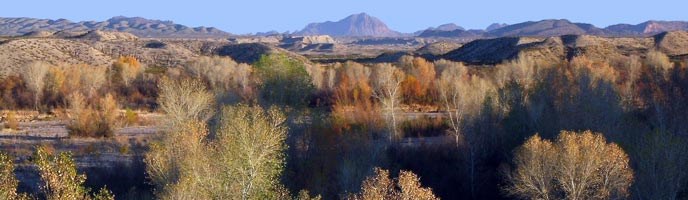 Rio Grande Autumn