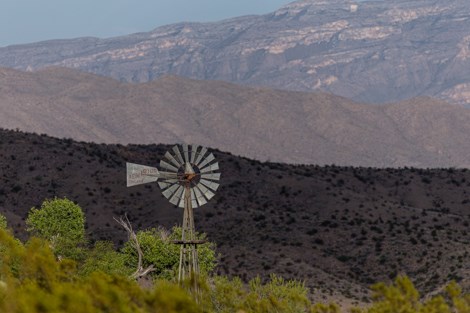 A windmill and cottonwood trees against a mountain backdrop.