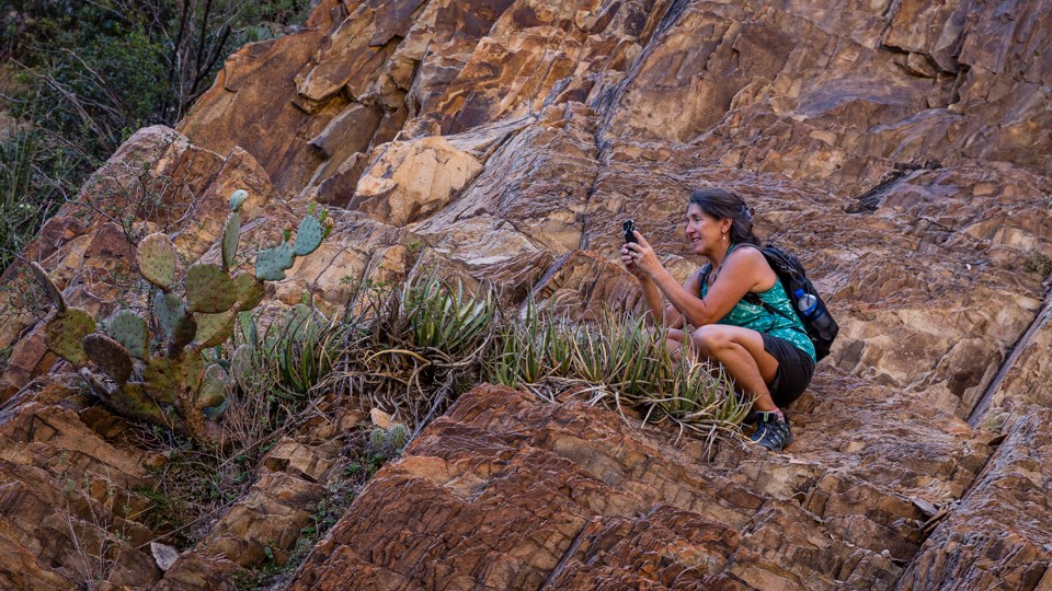 A woman photographs plants on a cliffside.