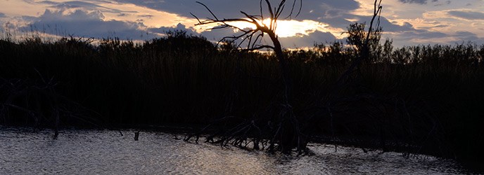 Beaver Pond Sunset