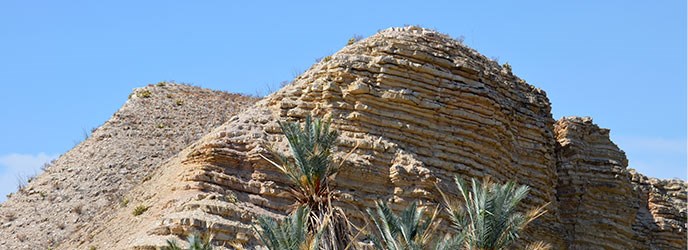 Boquillas Formation Boquillas Formation