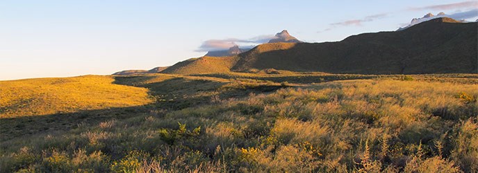Chisos Vista