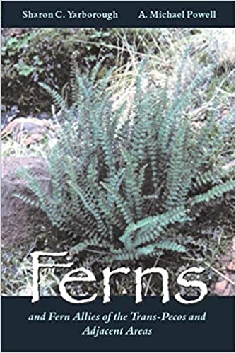 Cover of a book about the ferns of the Trans Pecos region.