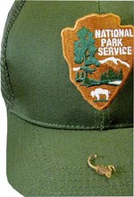 Scorpion on a ranger hat Scorpion on a ranger hat