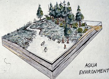 aguja environments