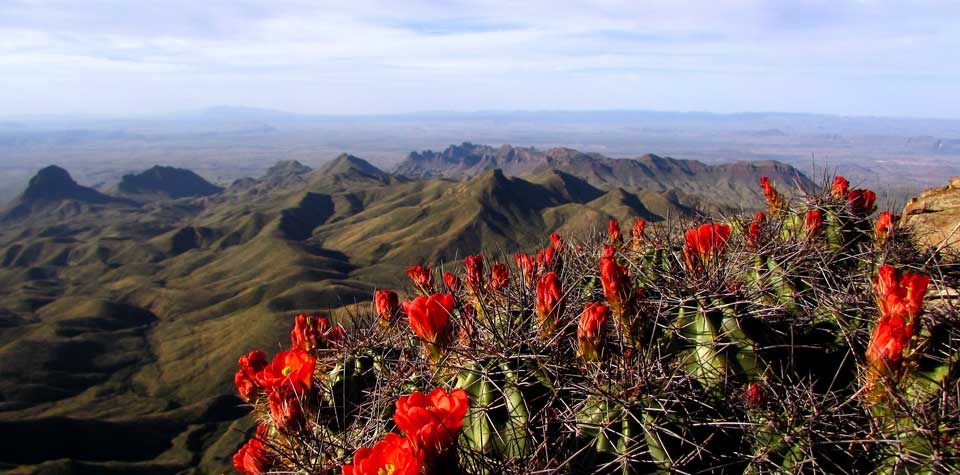 bioregion scenic view