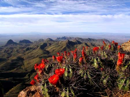 Big Bend Biosphere Region scenery