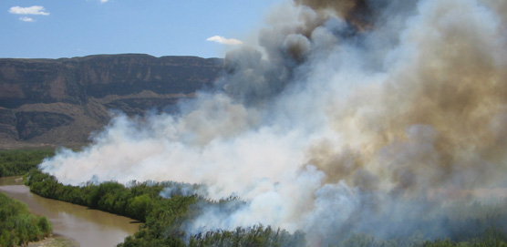Prescribed burn along the Rio Grande to reduce the occurance of tamerisk and restore the floodplain environment. Prescribed burn along the Rio Grande to reduce the occurance of tamerisk and restore the floodplain environment.