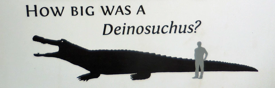 How Big is a Deinosuchus? How Big is a Deinosuchus?