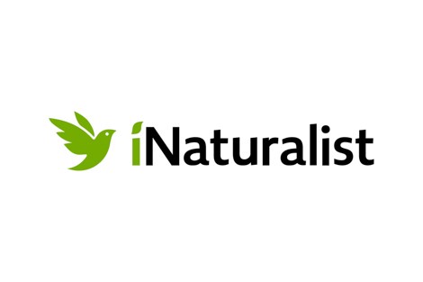 A bird is in line with the words iNaturalist