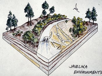 Javelina formation environment