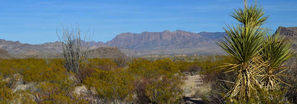 View along the Chimneys Trail View along the Chimneys Trail