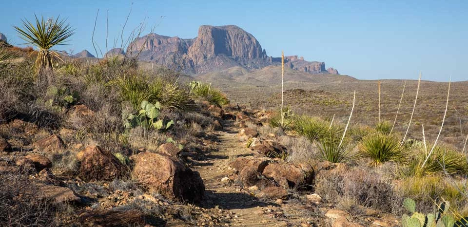 Lone Mountain Trail Lone Mountain Trail