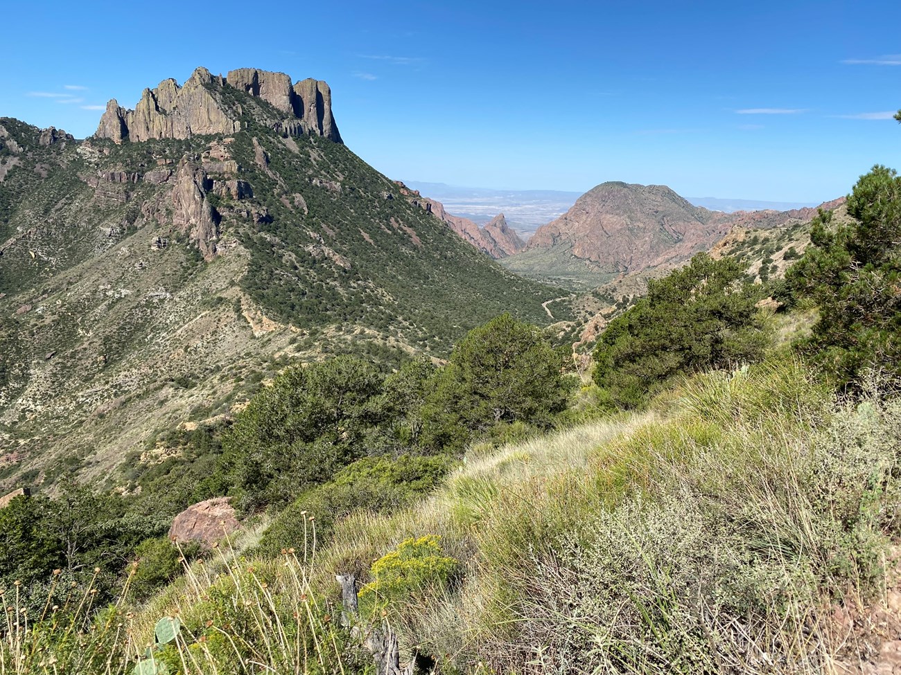 View from the Lost Mine Trail