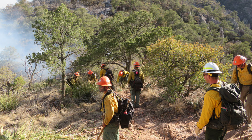 firefighters on south rim fire