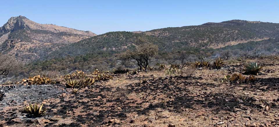 Fire contained at 30 acres Fire contained at 30 acres