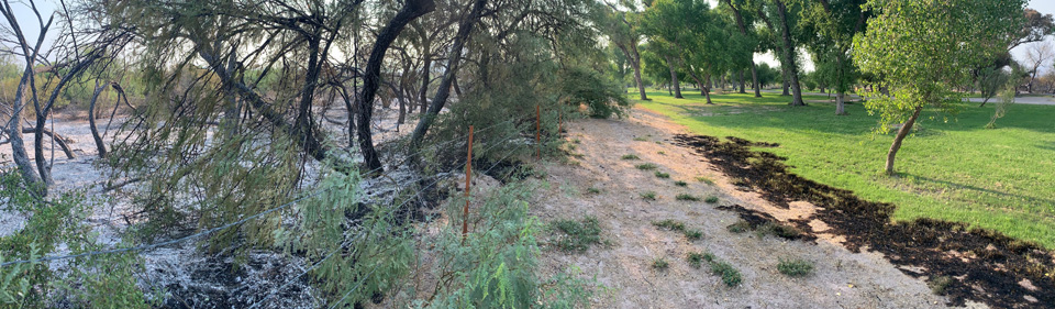 Cottonwood Campground was spared Cottonwood Campground was spared