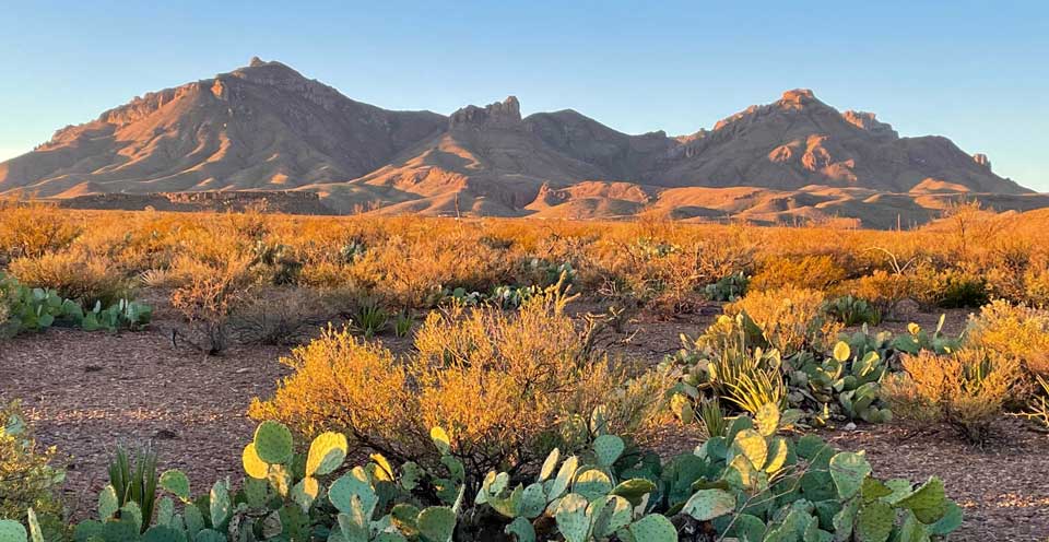 Desert scene near Panther Junction