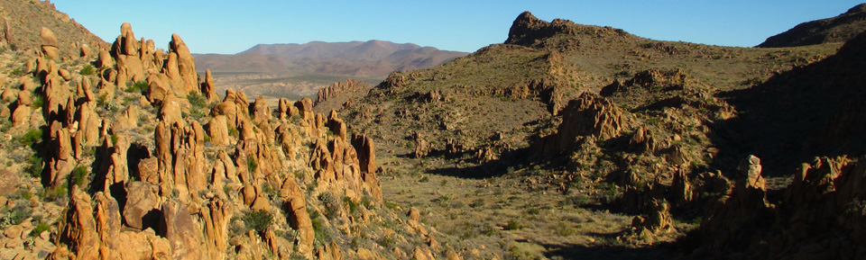 grapevine hills view