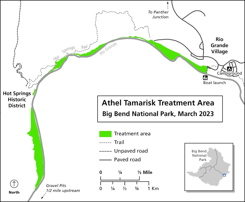 tamarisk treatment area map