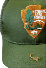 Scorpion on a ranger hat