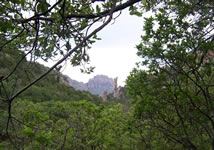 The Boot Rock