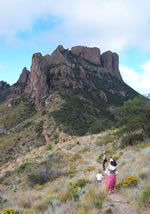 Ranger leading visitors along the Lost Mine Trail