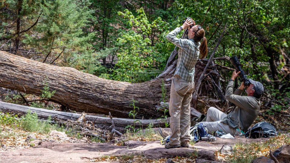 Birders in action 2 people look for birds in a canyon