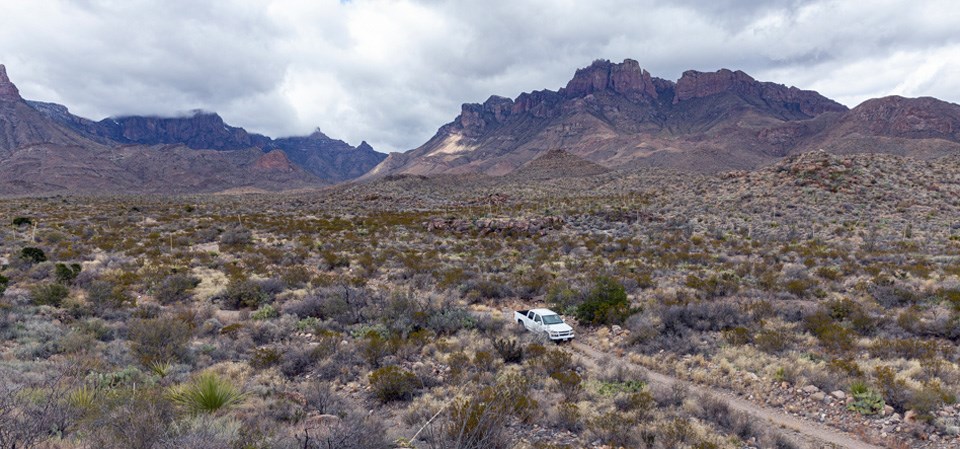 Along the Juniper Canyon Road