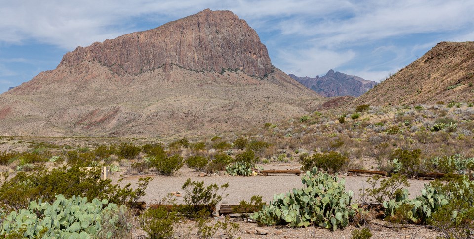 Nugent Mountain Campsite